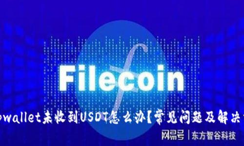 : tpwallet未收到USDT怎么办？常见问题及解决方案