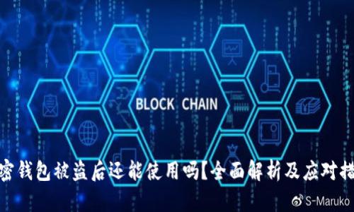 加密钱包被盗后还能使用吗？全面解析及应对措施