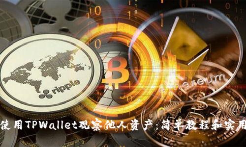如何使用TPWallet观察他人资产：简单教程和实用技巧