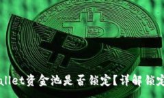 :如何检查TPWallet资金池是否锁定？详解锁定状态