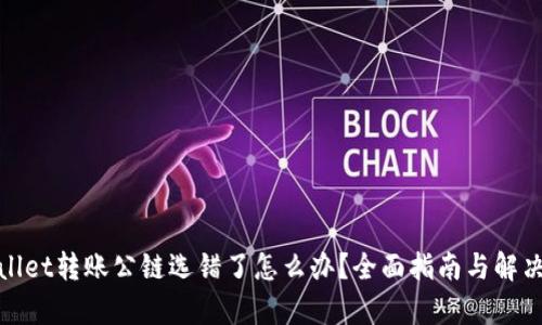 tpwallet转账公链选错了怎么办？全面指南与解决方案