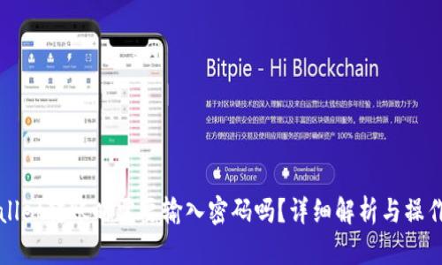 TPWallet转账时需要输入密码吗？详细解析与操作指南