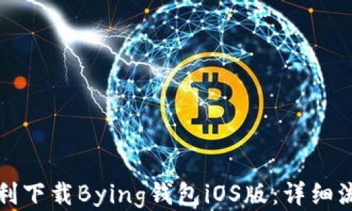 
如何顺利下载Bying钱包iOS版：详细流程指南