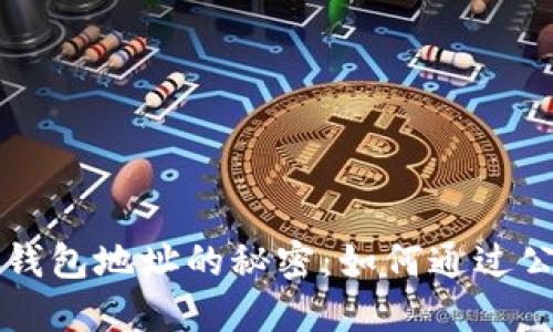 比特币钱包地址的秘密：如何通过公钥生成