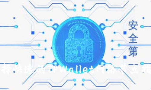 选择快速的TPWallet网络节点指南