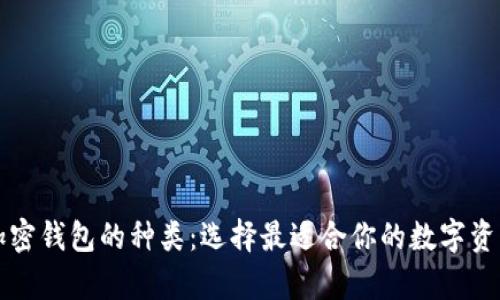 深入了解加密钱包的种类：选择最适合你的数字资产存储方案