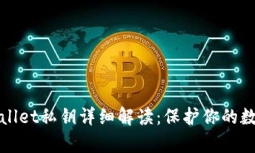 ### tpwallet私钥详细解读：保护你的数字资产安全