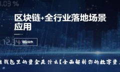 区块链钱包里的资金是什么？全面解析你的数字