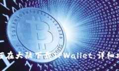 如何在大陆下载TPWallet：详细攻略