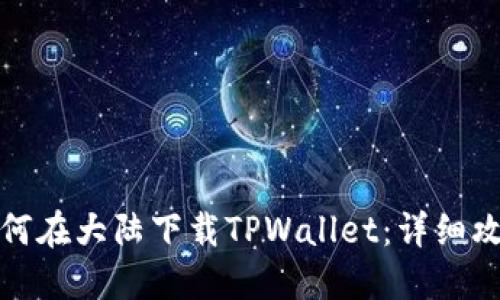 如何在大陆下载TPWallet：详细攻略