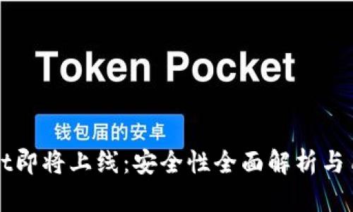 TPWallet即将上线：安全性全面解析与用户指南