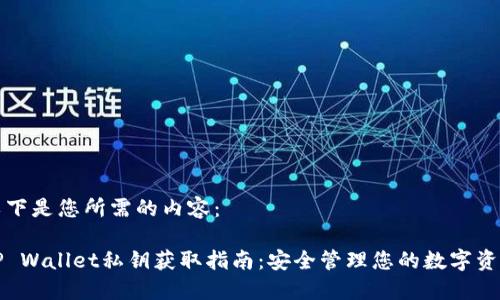 以下是您所需的内容：

TP Wallet私钥获取指南：安全管理您的数字资产