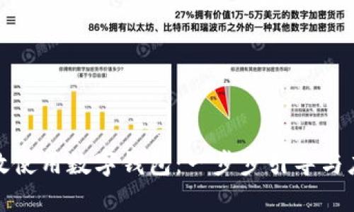 如何高效使用数字钱包：一步步引导与应用技巧