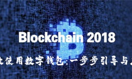如何高效使用数字钱包：一步步引导与应用技巧