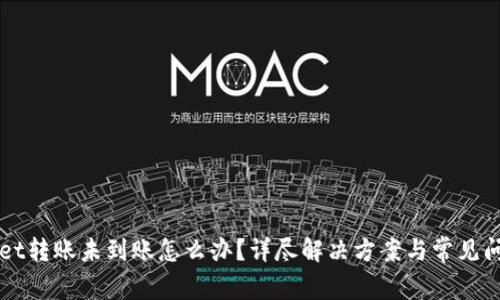 TPWallet转账未到账怎么办？详尽解决方案与常见问题解析