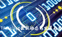 国内TPWallet最新动态与发展趋势分析