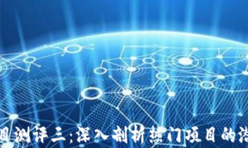 
区块链项目测评三：深入剖析热门项目的潜力与风险