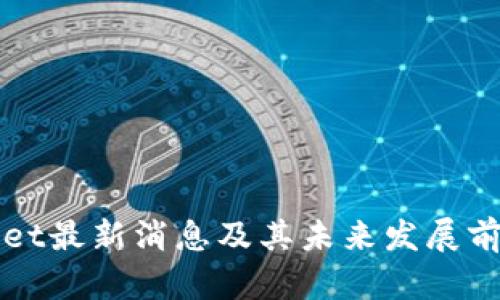 TPWallet最新消息及其未来发展前景解析