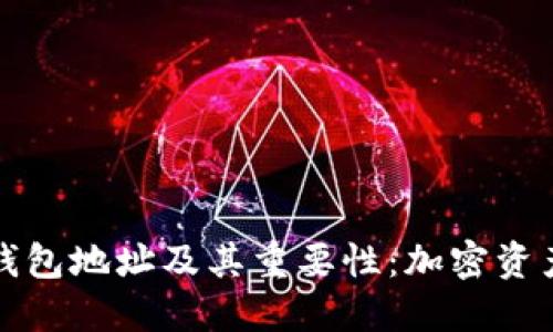 了解BEP20钱包地址及其重要性：加密资产管理的关键
