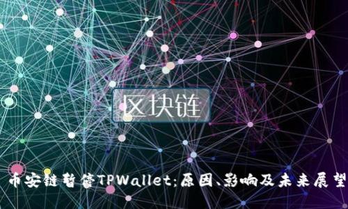 币安链暂停TPWallet：原因、影响及未来展望