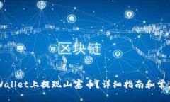 如何在TPWallet上提现山寨币？详细指南和常见问题