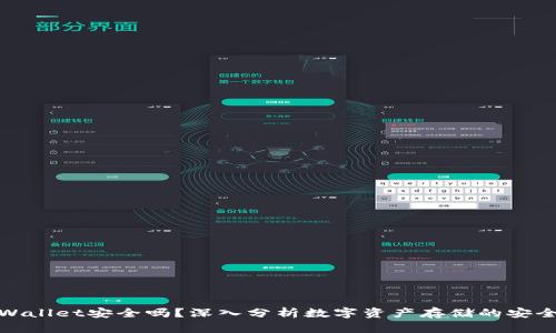 TPWallet安全吗？深入分析数字资产存储的安全性