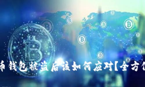 比特币钱包被盗后该如何应对？全方位指南