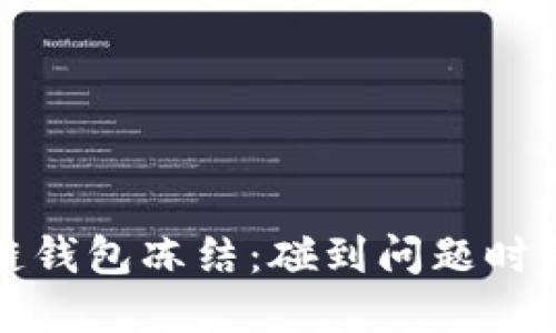 如何应对区块链钱包冻结：碰到问题时的全面解决指南