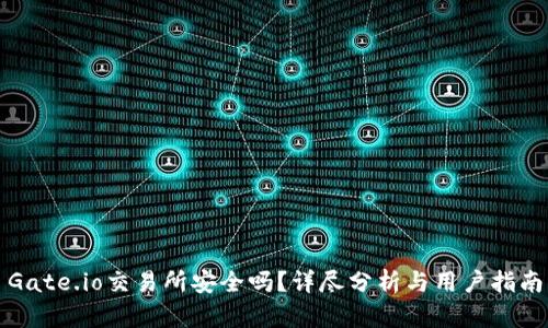 Gate.io交易所安全吗？详尽分析与用户指南