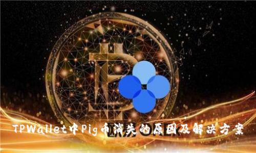 TPWallet中Pig币消失的原因及解决方案