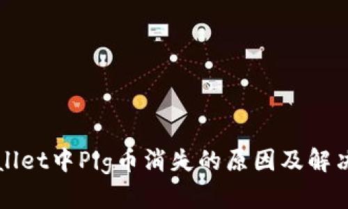 TPWallet中Pig币消失的原因及解决方案