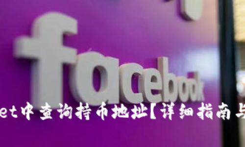 如何在TPWallet中查询持币地址？详细指南与常见问题解析