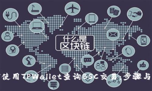 如何使用TPWallet查询BSC交易：步骤与技巧