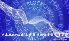 中本聪Beta版：加密货币的未来与众筹革命