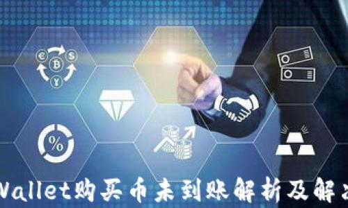 
  TPWallet购买币未到账解析及解决方案