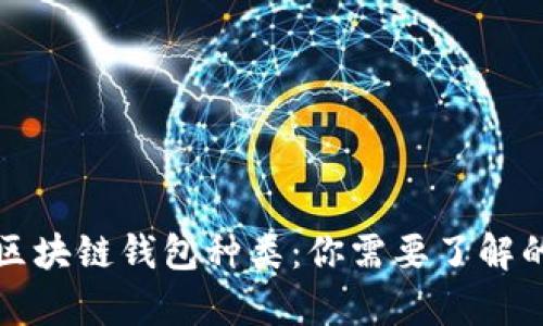 全面解析区块链钱包种类：你需要了解的所有信息