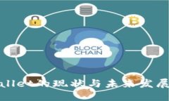 TPWallet的现状与未来发展探讨